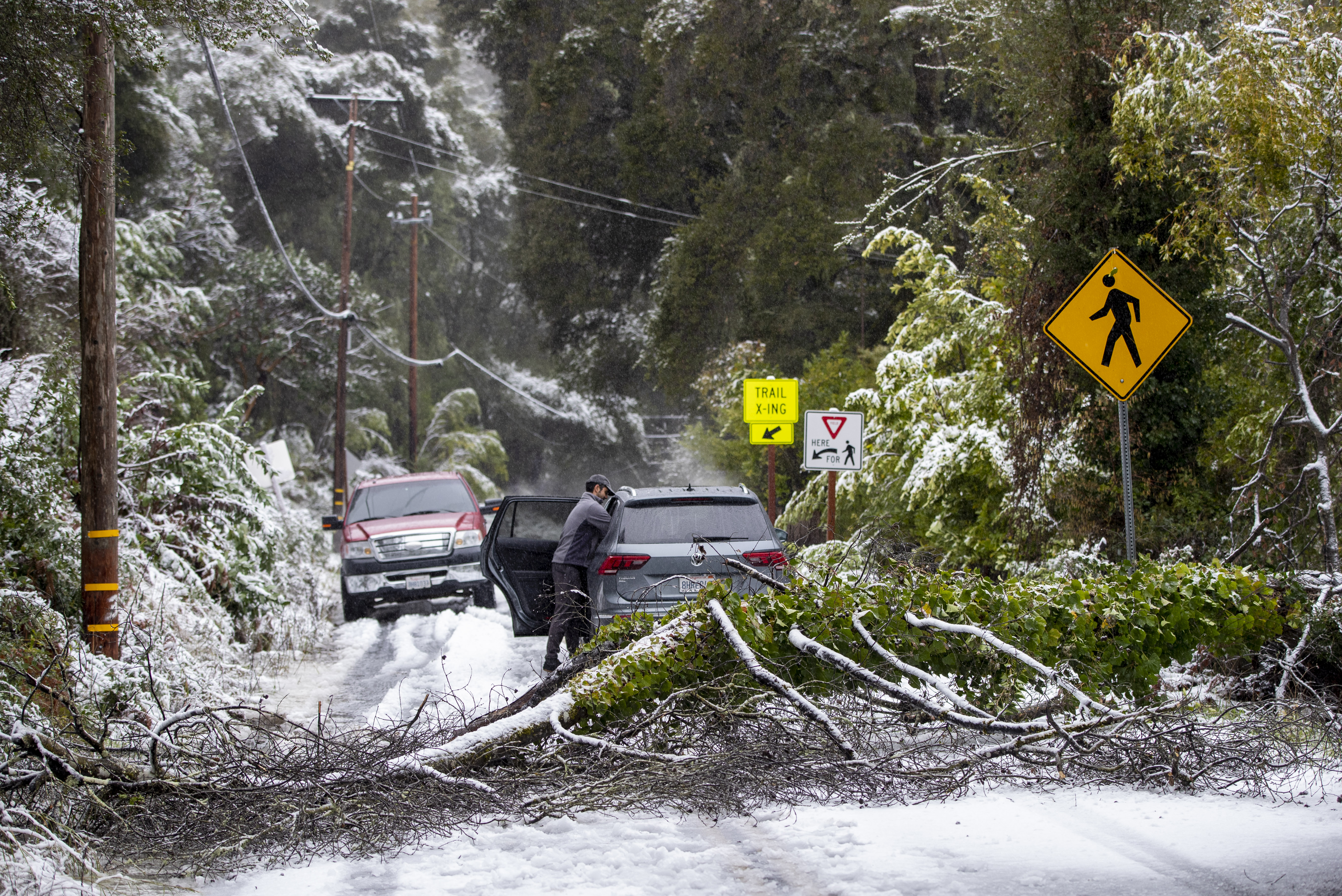 A fallen tree blocks Sanborn Road near Sanborn County Park in Saratoga, Calif., where people visit the wintry, white forest, Friday, Feb. 24, 2023. (Karl Mondon/Bay Area News Group)