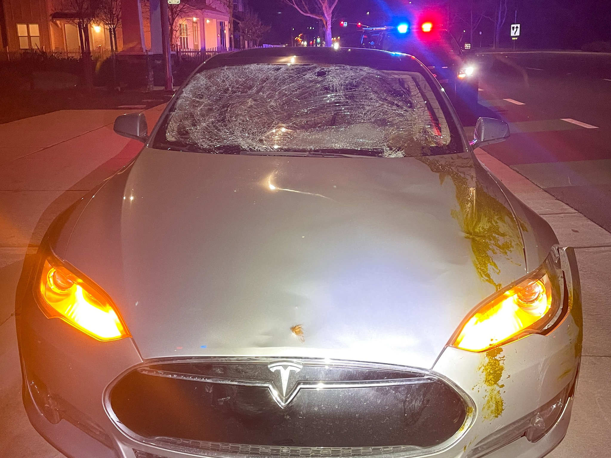 A Tesla collided with a cow that got loose in Pleasanton on Wednesday, police said. Neither the driver nor the cow was injured.