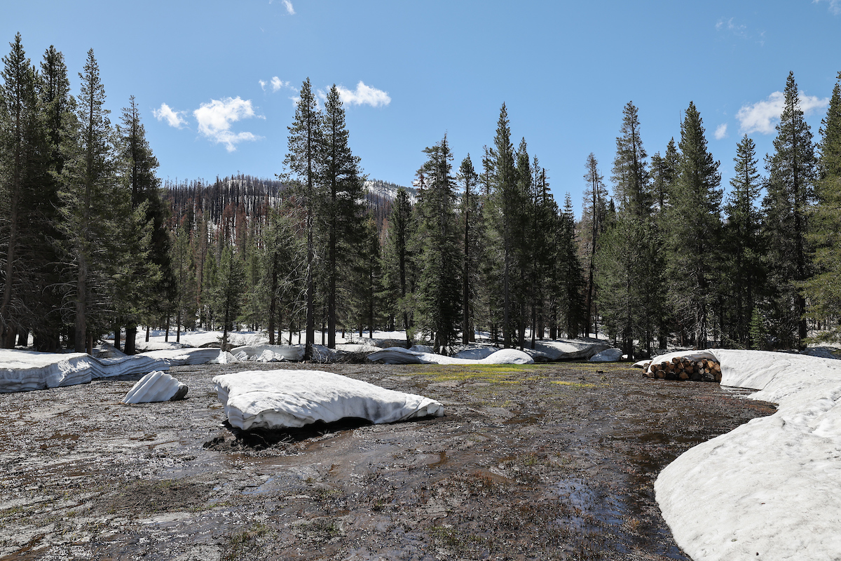 Snow runoff near the snow survey site at Phillips Station in the Sierra Nevada Mountains on Monday May 1, 2023. The site is approximately 90 miles east of Sacramento off Highway 50 in El Dorado County. (Photo: Fred Greaves / California Department of Water Resources)