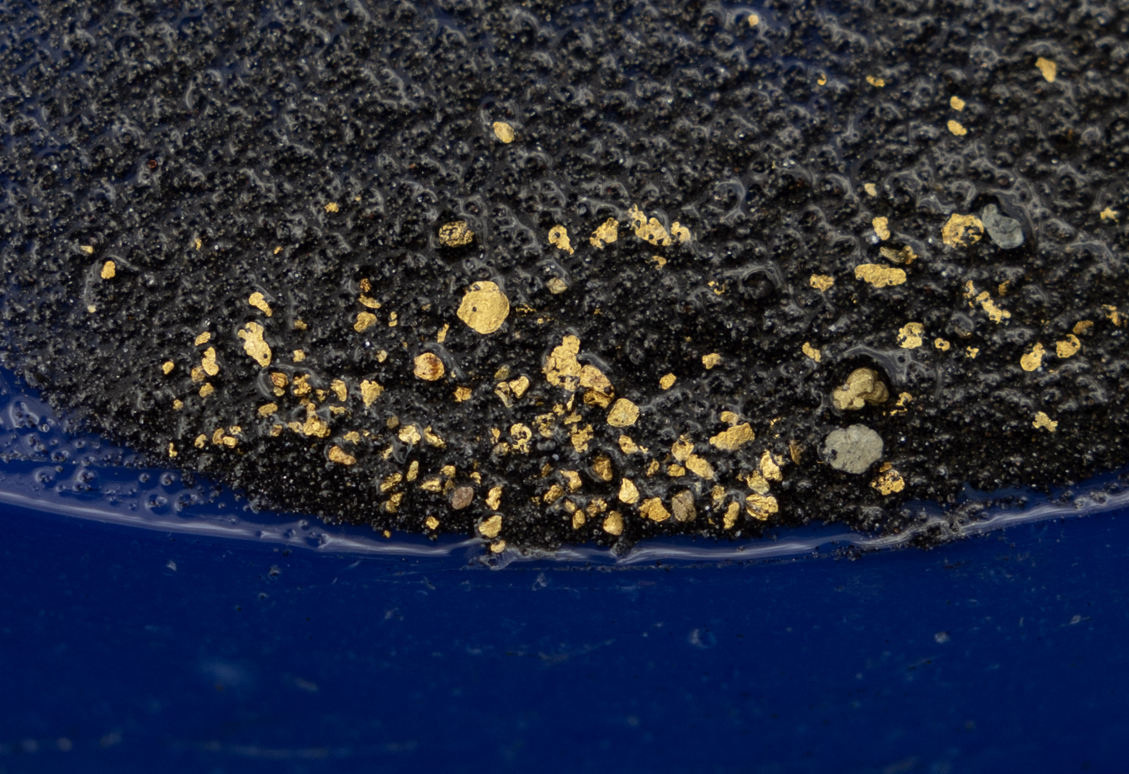 Glowing gold flakes stand out among black sand as Kevin Bell, California director of Gold Prospectors of America, pans for the precious metal along Moore Creek near Buck Meadows, Calif., Tuesday, May 9, 2023. Winter storms sent water blasting through rocks in the Sierra Nevada, leading to what is widely anticipated to be the biggest discovery season in recent history. (Karl Mondon/Bay Area News Group)