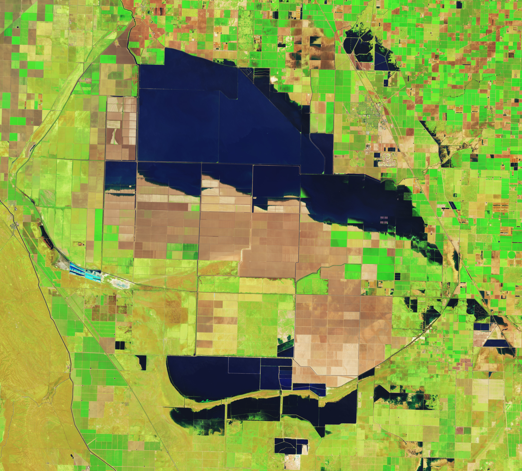 The image above, acquired by the Operational Land Imager (OLI) on Landsat 8, shows flooded farm fields in the Tulare lakebed on April 30, 2023. (NASA)