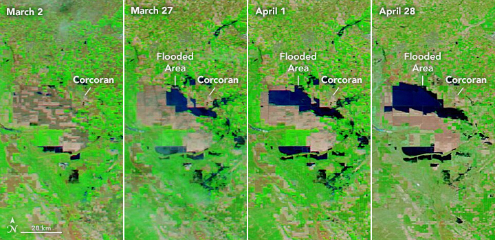The images show the progression of flooding in the Tulare Lake basin. They were acquired by the Moderate Resolution Imaging Spectroradiometer (MODIS) on NASA's Aqua satellite between March 2 and April 28, 2023. (NASA)