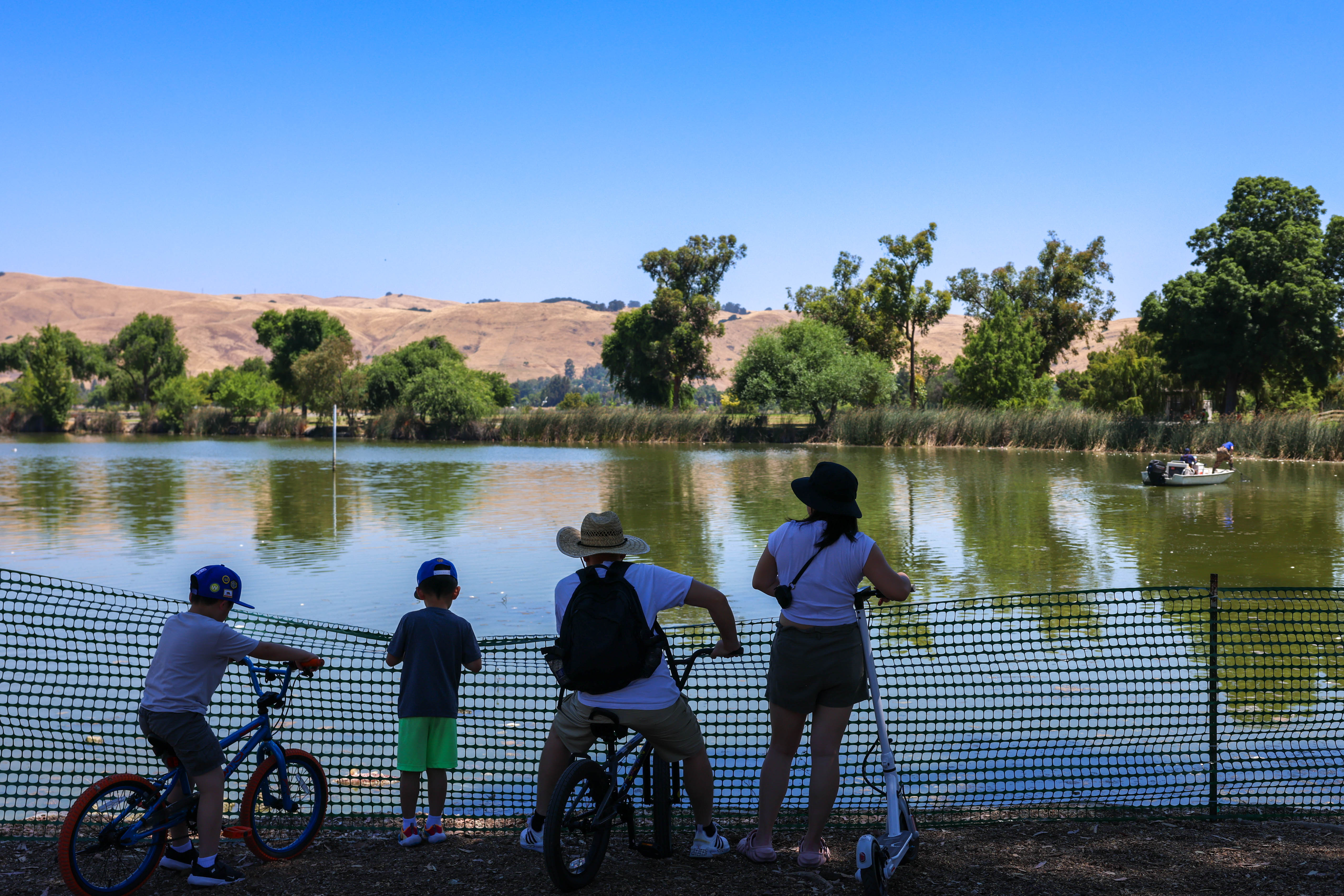 Lake Elizabeth at Central Park in Fremont, Calif., is closed to the public as the city of Fremont workers clean dead fish out of the lake on Friday, July 5, 2024. Several fish species die due to low oxygen levels during the Bay Area's recent heatwave. City spokeswoman Geneva Bosques said that an estimated 1,000 fish, including catfish, trout, carp, Sacramento Suckerfish, and crappie, have been found dead in the lake since Wednesday. Ray Chavez/Bay Area News Group)