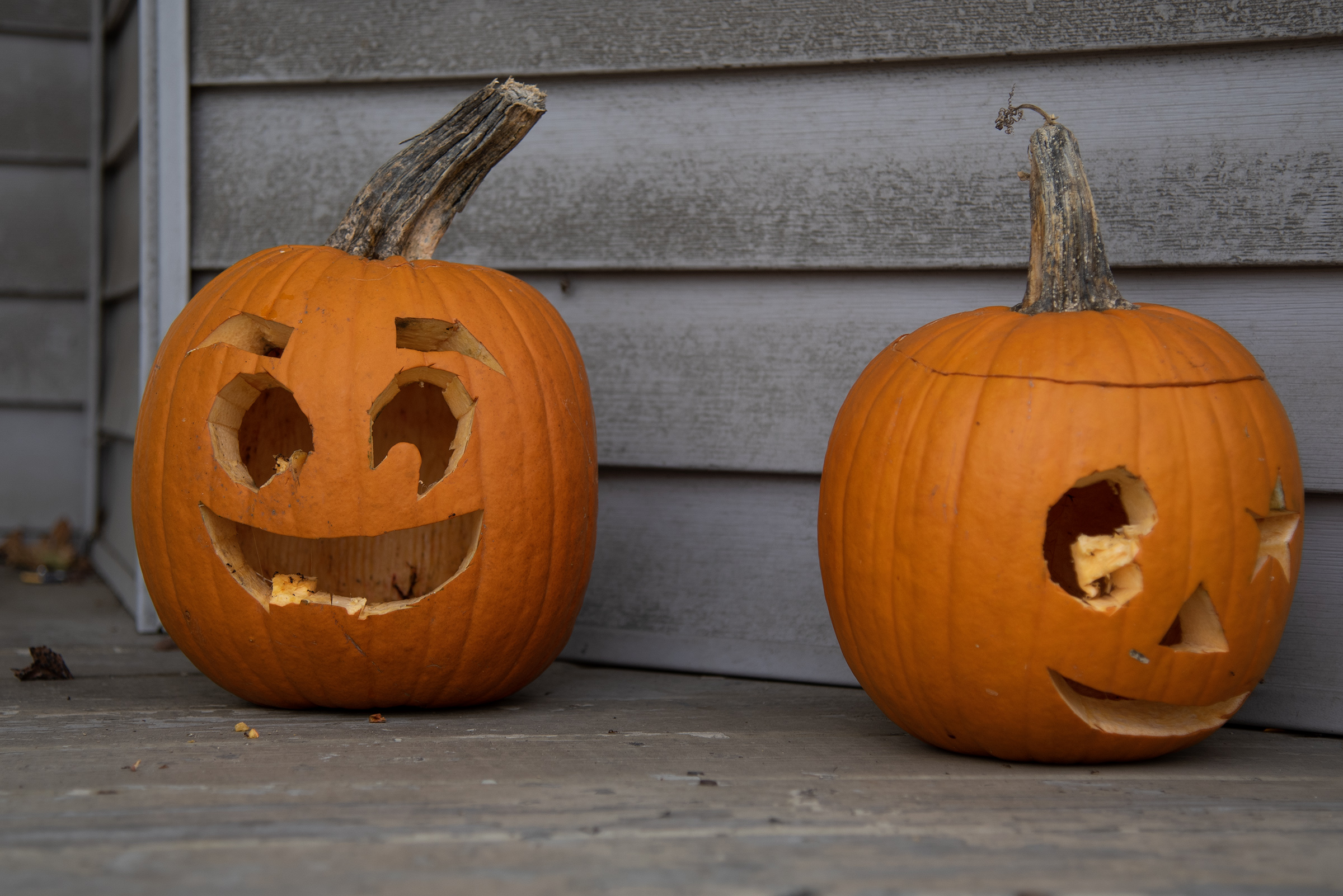 Netflix S 28 Days Haunted Is Nothing But A Waste Of Your Time