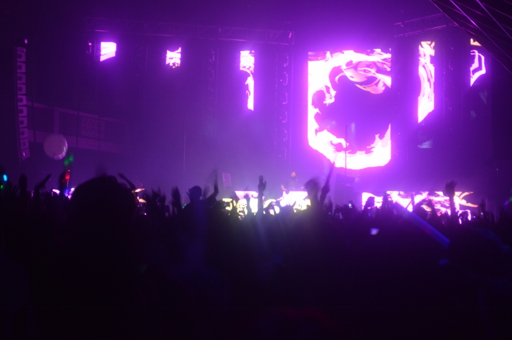 Borgore from crowd view