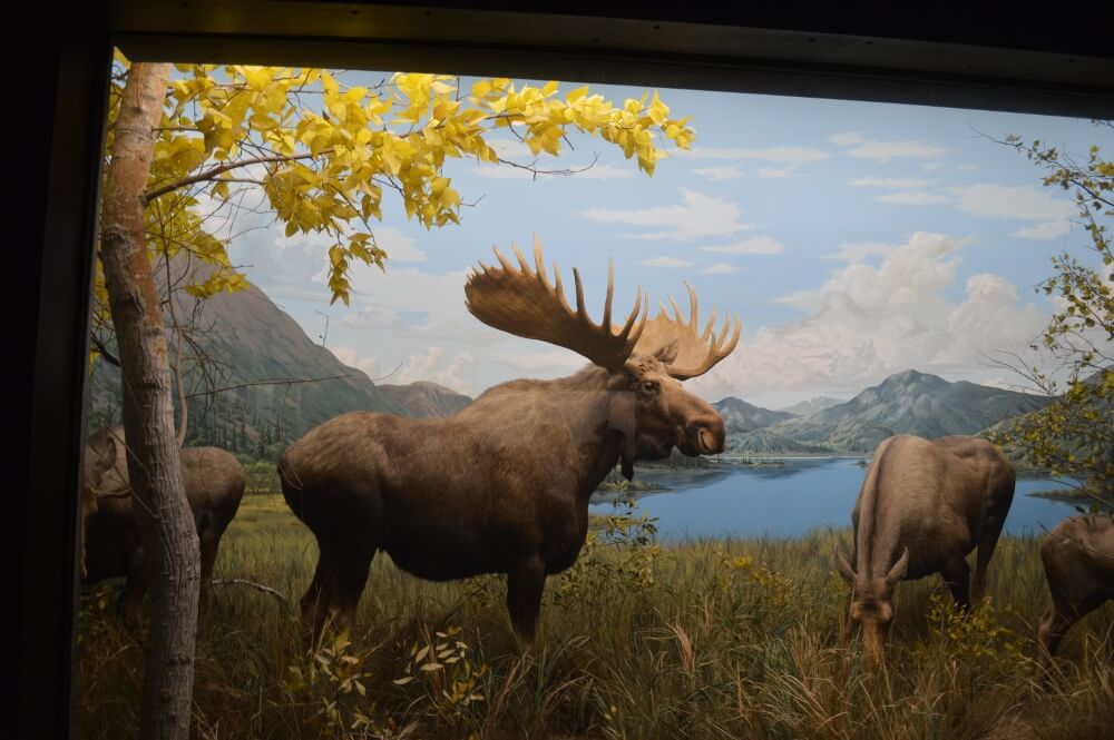  First Fridays at the Natural History Museum of Los Angeles County