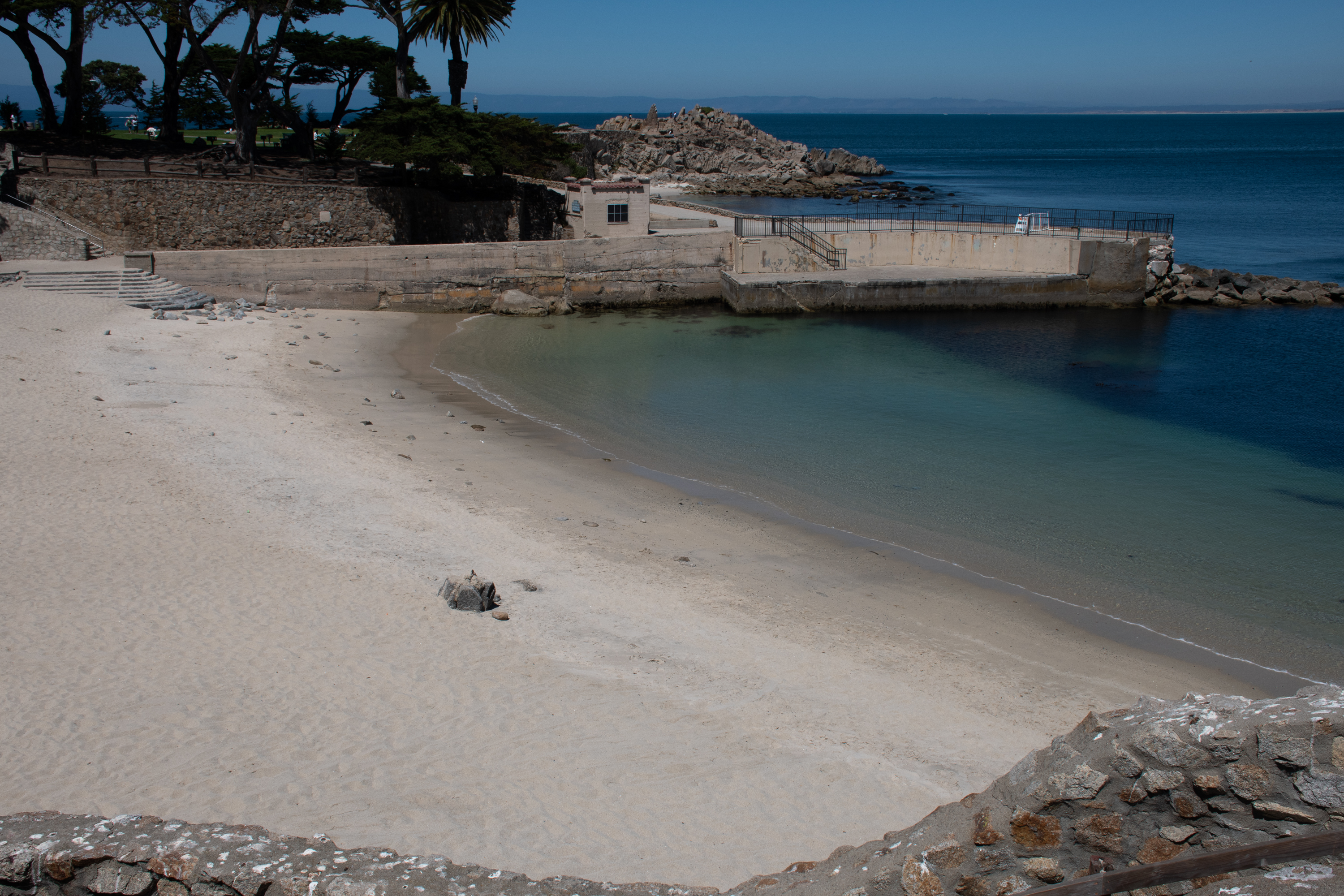 Lovers Point Beach was closed Wednesday afternoon after a Pacific Grove resident and his dog were thrown off a paddleboard during a shark encounter at about 11:30 a.m.(Molly Gibbs -- Monterey Herald)