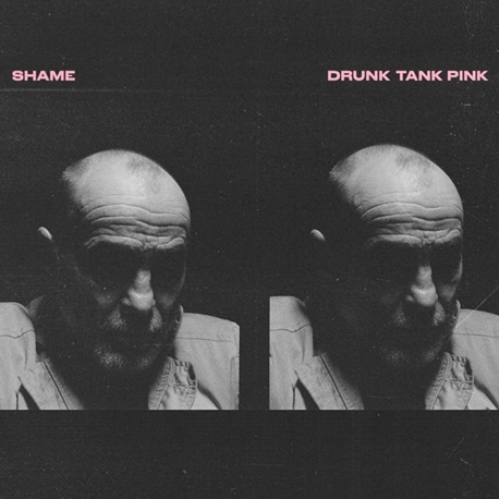 #17. Shame - Drunk Tank Pink