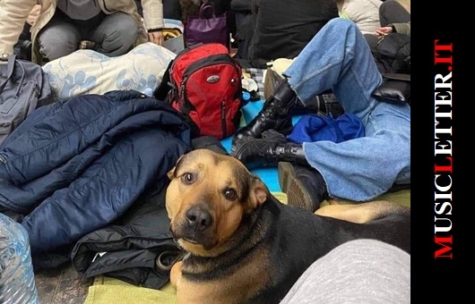 Metropolitana di Kiev (foto presa dal web)