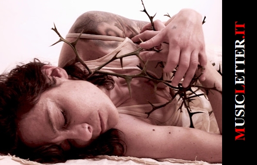 Daniela D’Angelo, «Petricore»