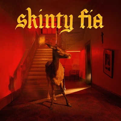 FONTAINES D.C. - Skinty Fia