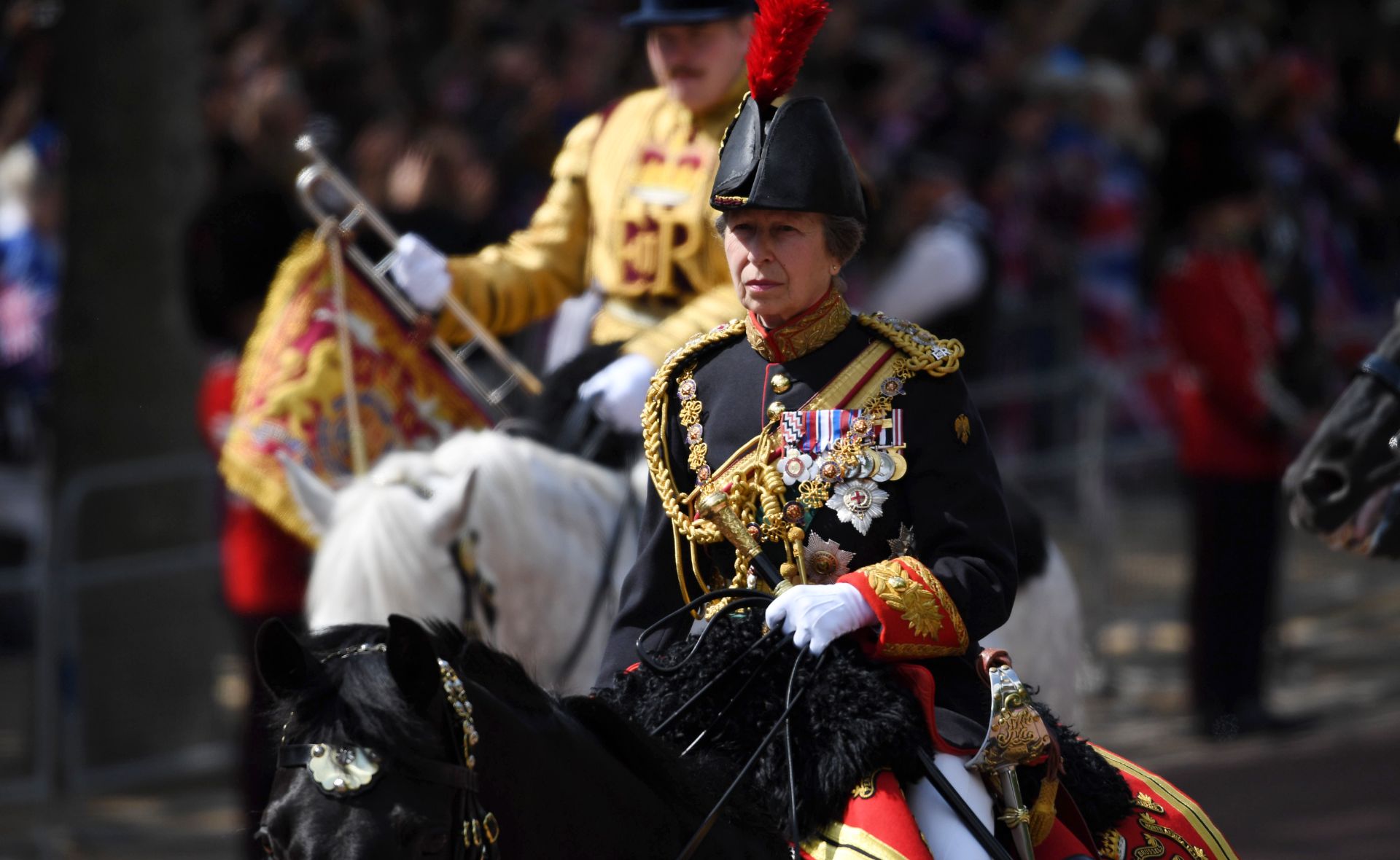 Princess Anne suffers concussion from horse-incident