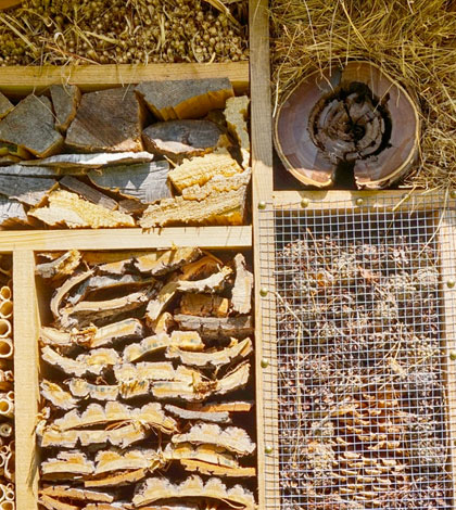 Vinn Ett Insektshotell Och Skapa Hallbar Miljo For Lindesberg Orebronyheter