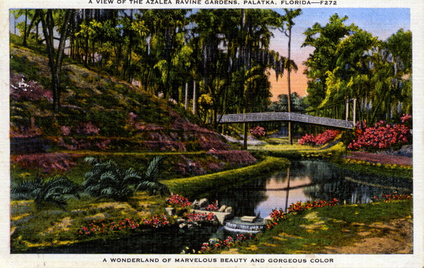 A historical postcard from Ravine Gardens. (Florida Memory)