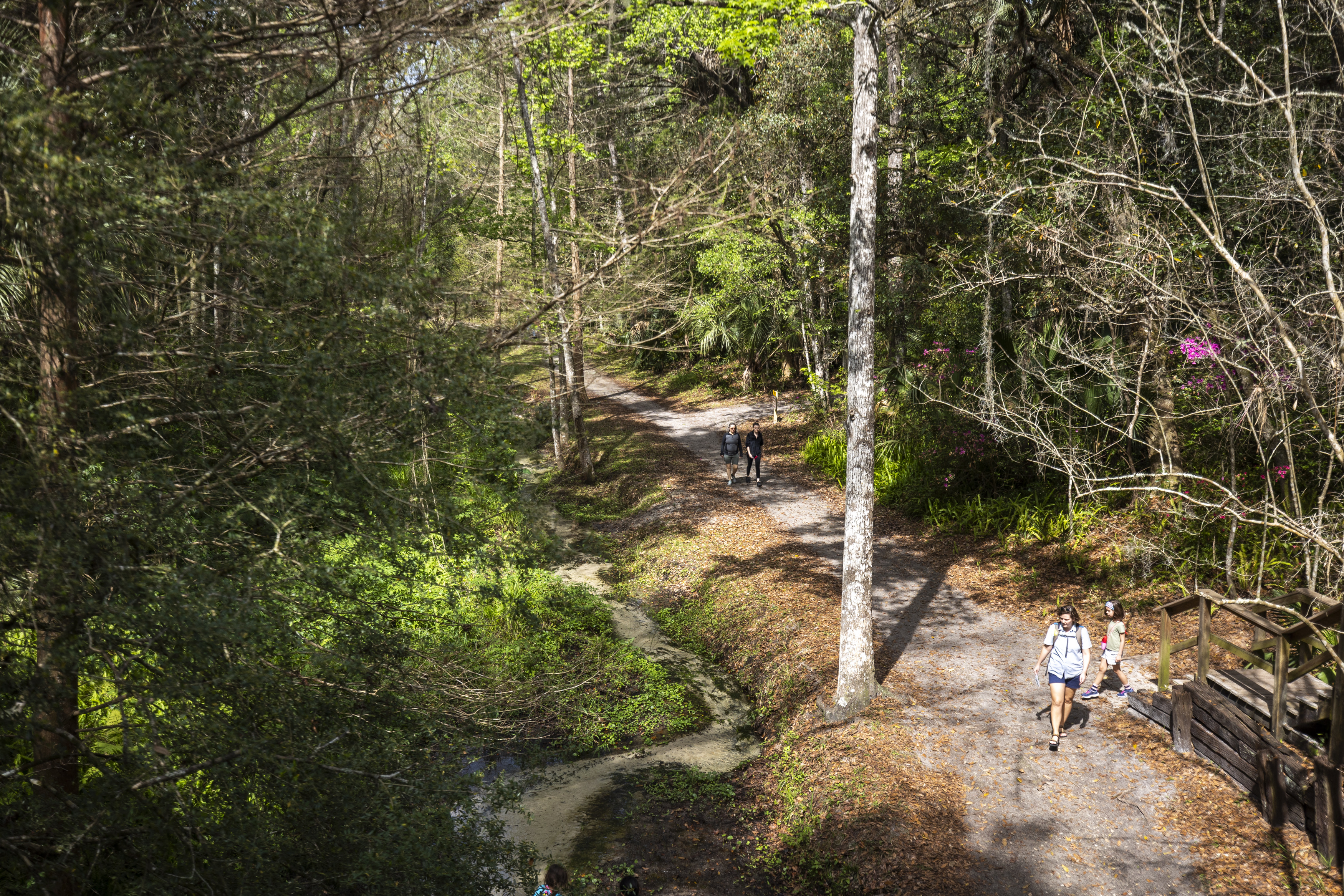 Hikers enjoy a sunny day walking around Ravine Gardens State Park in Palatka on March 10, 2024. (Patrick Connolly/Orlando Sentinel)