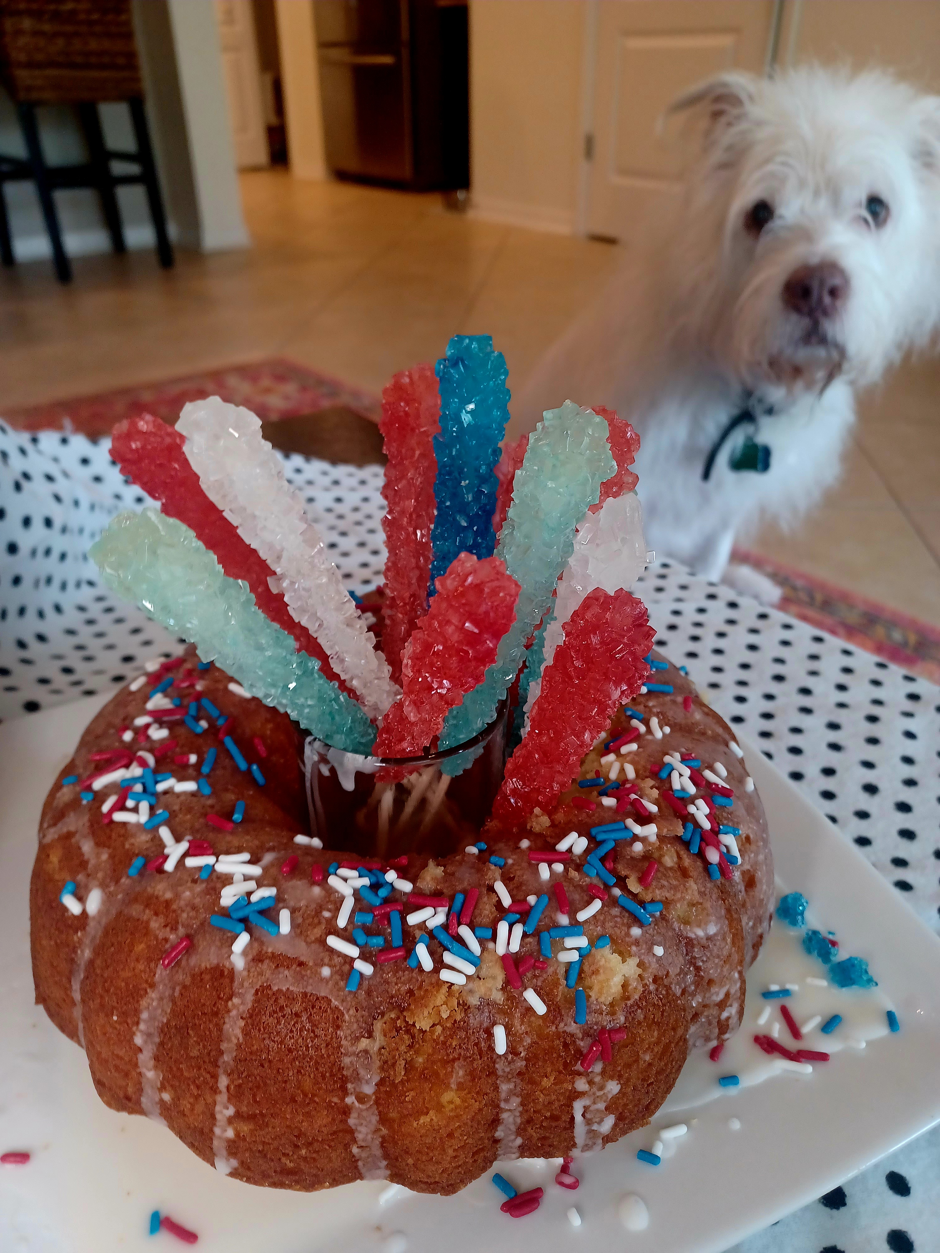 My dog, simultaneously judging me while hoping he can have some. If you need the glass, too, you could always make taking one a part of the fun! (Amy Drew Thompson/Orlando Sentinel)