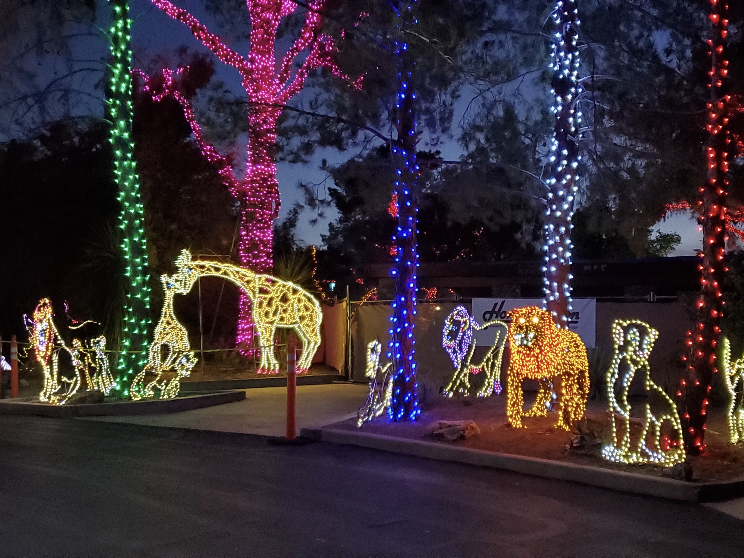 Zoolights It S Amazing Christmas Lights At The Phoenix Zoo Phoenix With Kids