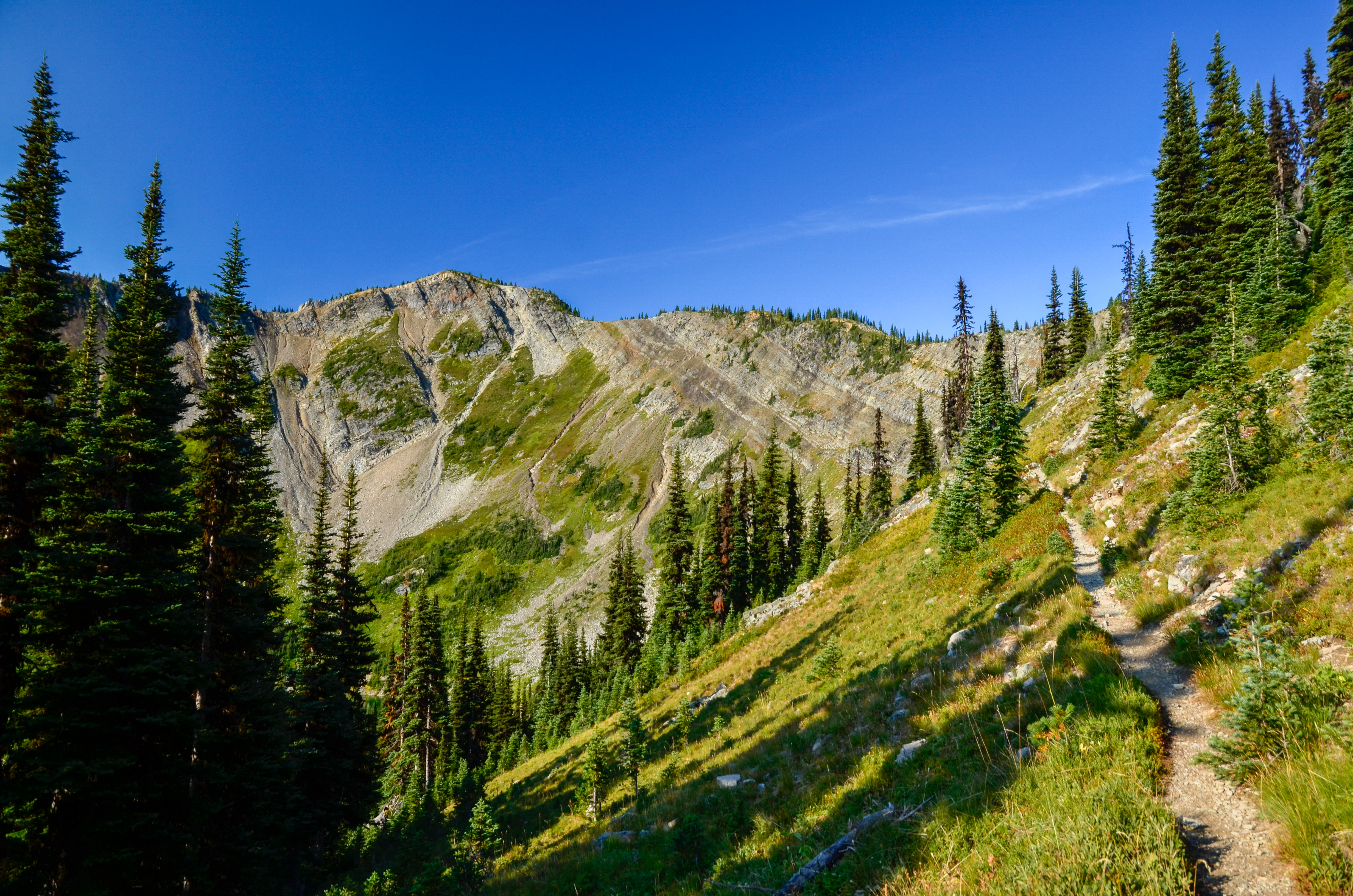 The Boundary Trail in the Western Pasayten