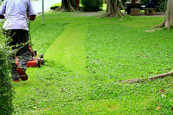 best mulching blades for lawn mowers