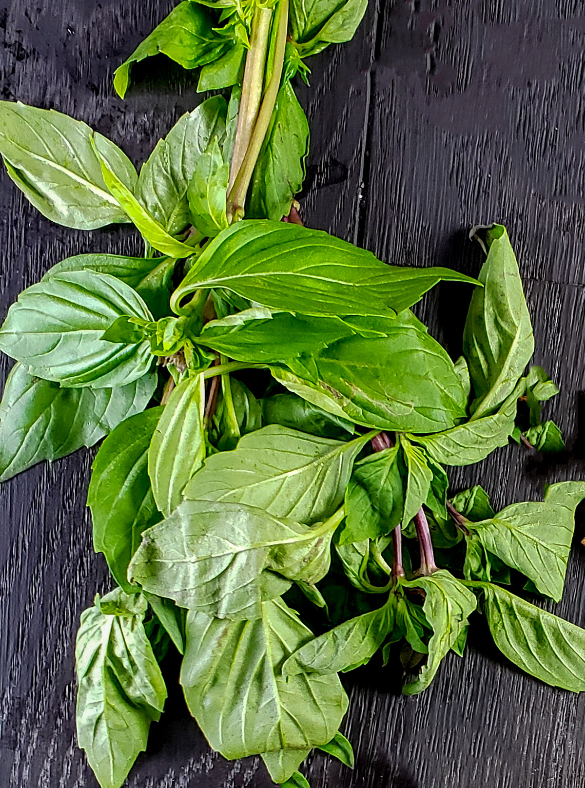 Thai Basil