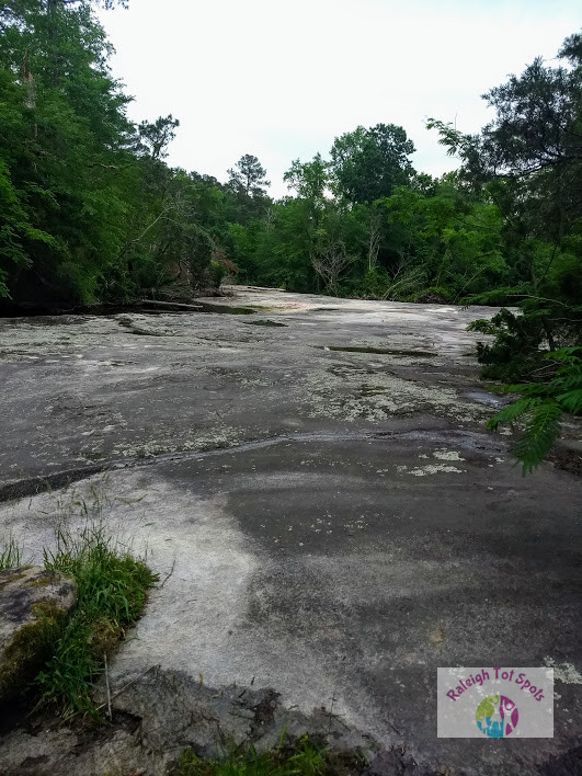 Mitchell Mill State Natural Area Raleigh Tot Spots