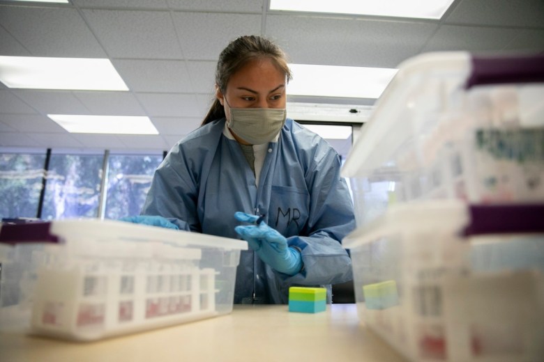 Meredith Reyes, a lab technician 1, labels COVID-19 swab tests before processing at the Sonoma County Department of Public Health on June 8, 2021. (File: Anne Wernikoff; CalMatters)