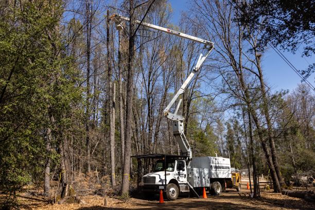 (Joshua DeLawrence for the Record-Bee)PG&E crews work on tree removal in Cobb.