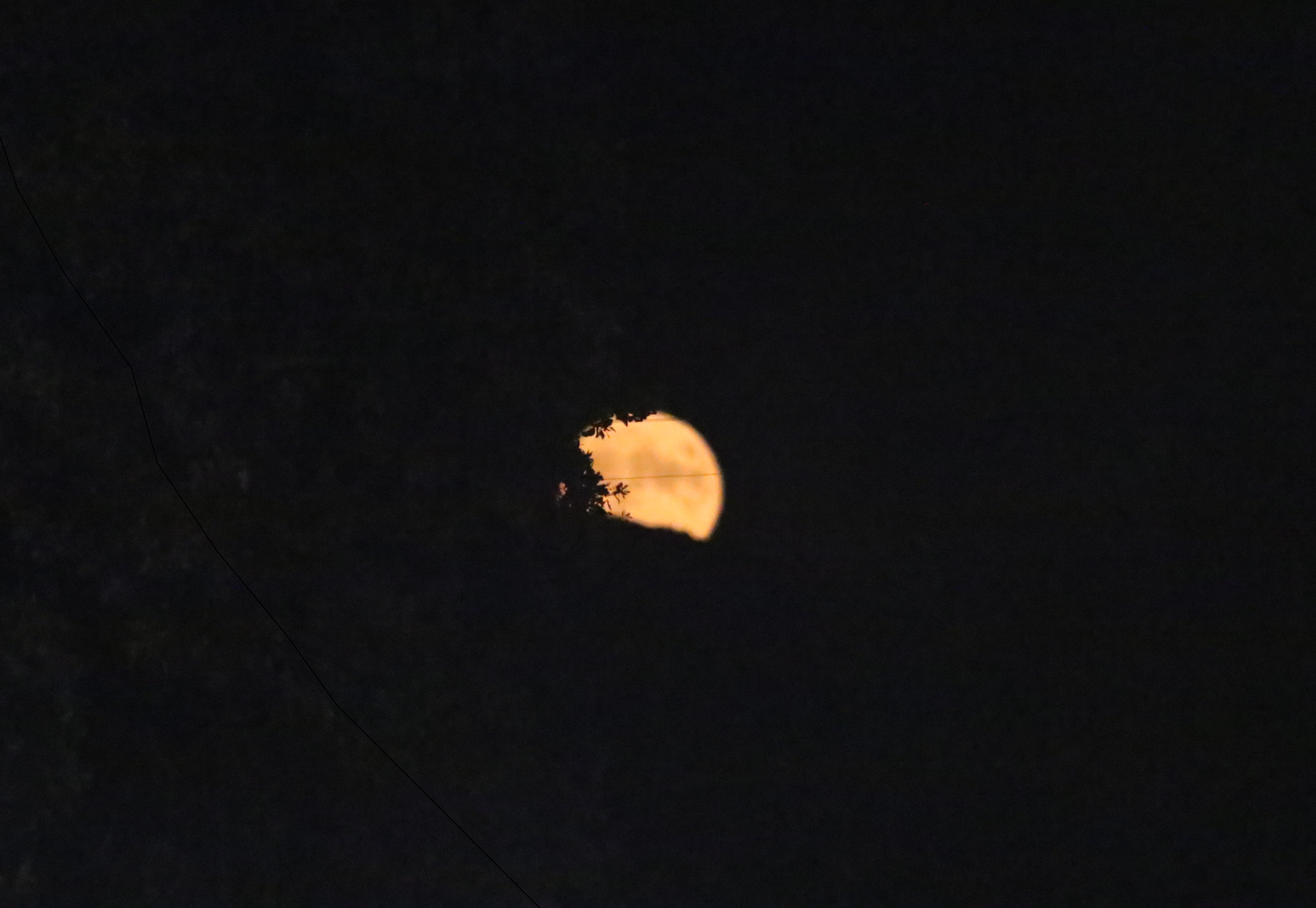 Fans were treated to an orange moonrise Friday night in Kelseyville, which seemed fitting enough since the Knights' school colors are orange and black. (Photos by Minenna Photography)