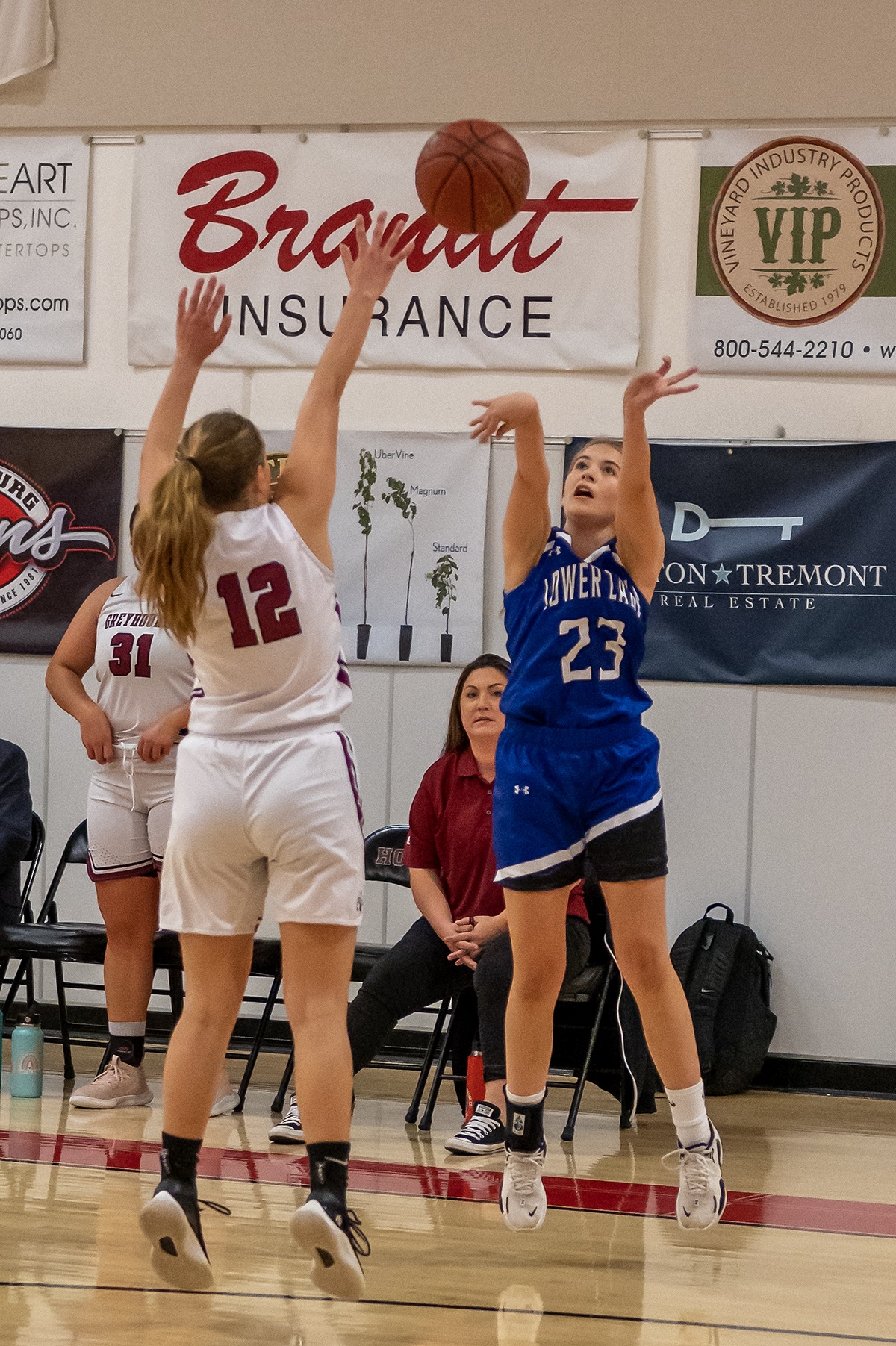 Lower Lake's Ayla Ales launches a shot from long range during a 65-16 season-opening loss to the Healdsburg Greyhounds on Saturday at Healdsburg. (Photos courtesy of Michael Lucid)