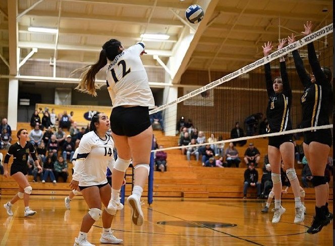 Alana Sanchez pounds the ball over the net. (Courtesy photo)