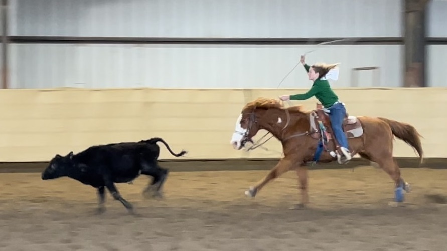 Braelynn Munk, a seventh-grader at Middletown Middle School, won the breakaway and ribbon roping event in Corning. (File photos)