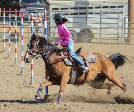Stella Aleman, a seventh-grader from Clearlake, won the pole bending event in Corning. (File photos)