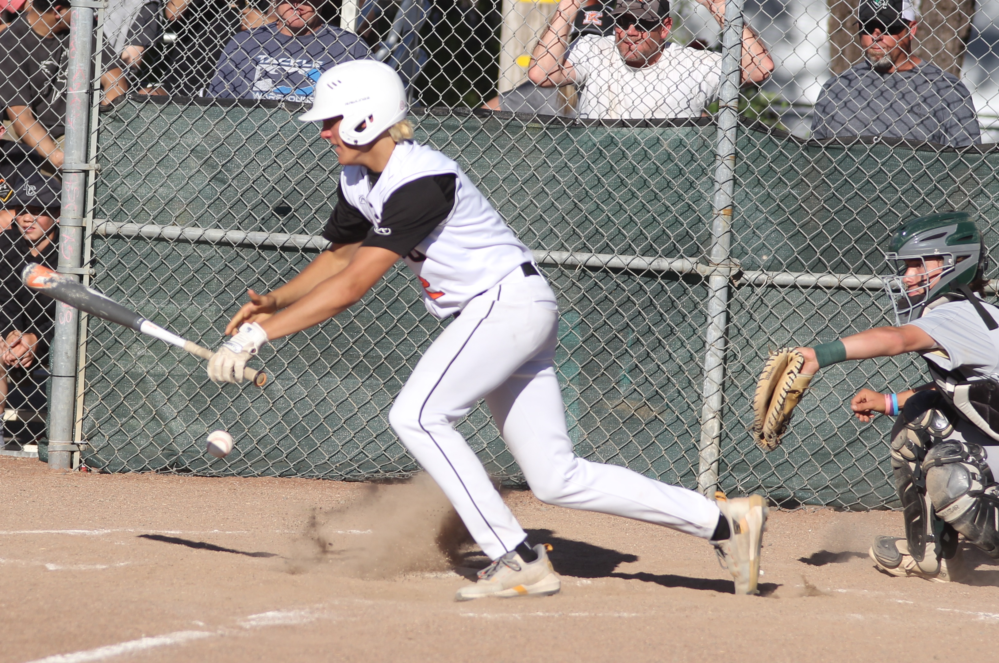 Tyler Bryant lays down the bunt on a suicide squeeze that put Kelseyville ahead to stay 2-1 in the bottom of the third inning. The placement of the bunt was so good that Bryant beat it out for a hit in the Knights' 3-1 playoff victory. (Photos by Minenna Photography)