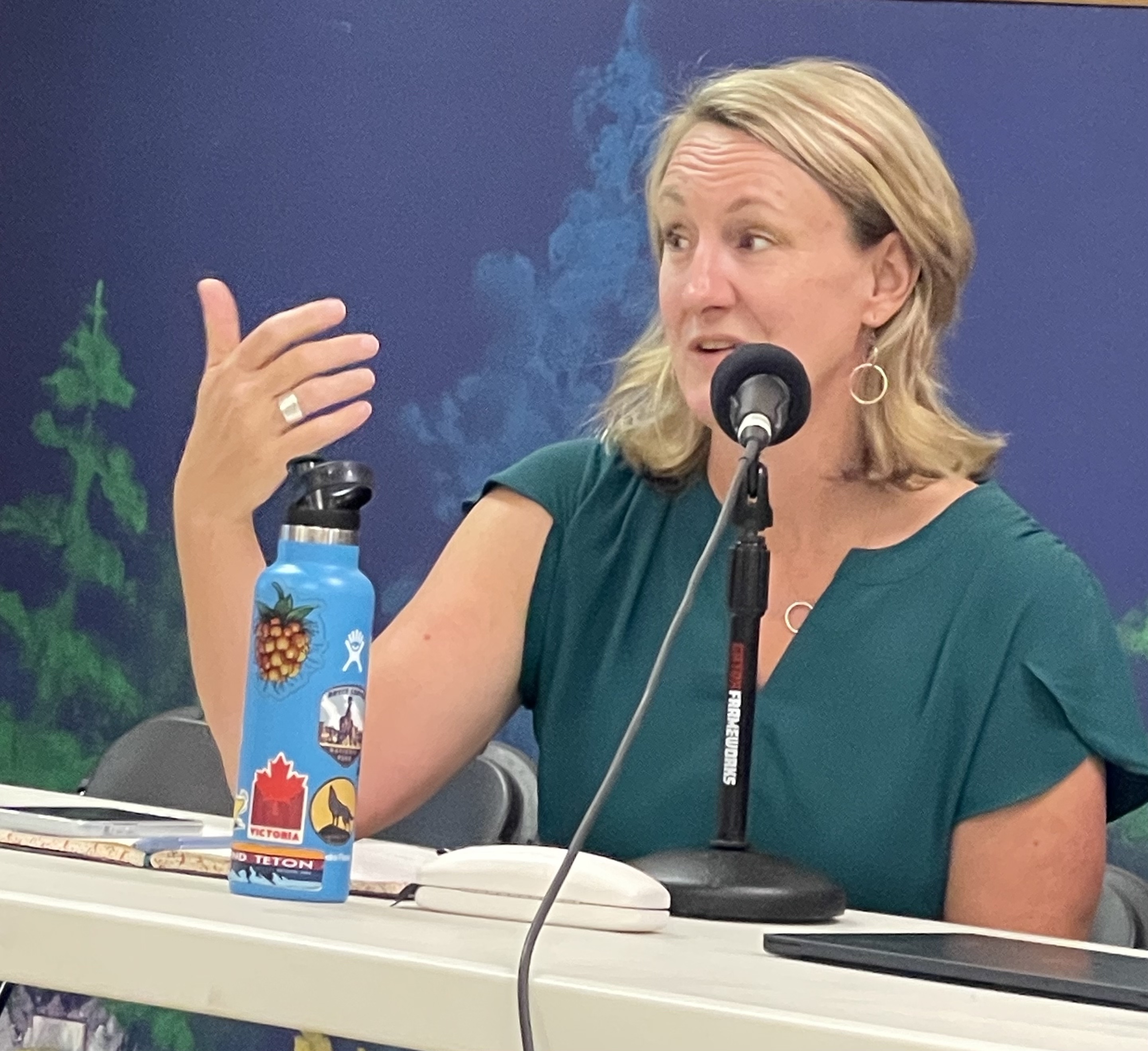 District 5 Supervisor Jessica Pyska gives her report to the Cobb Area Council Thursday. (Frederic Lahey for the Record-Bee)
