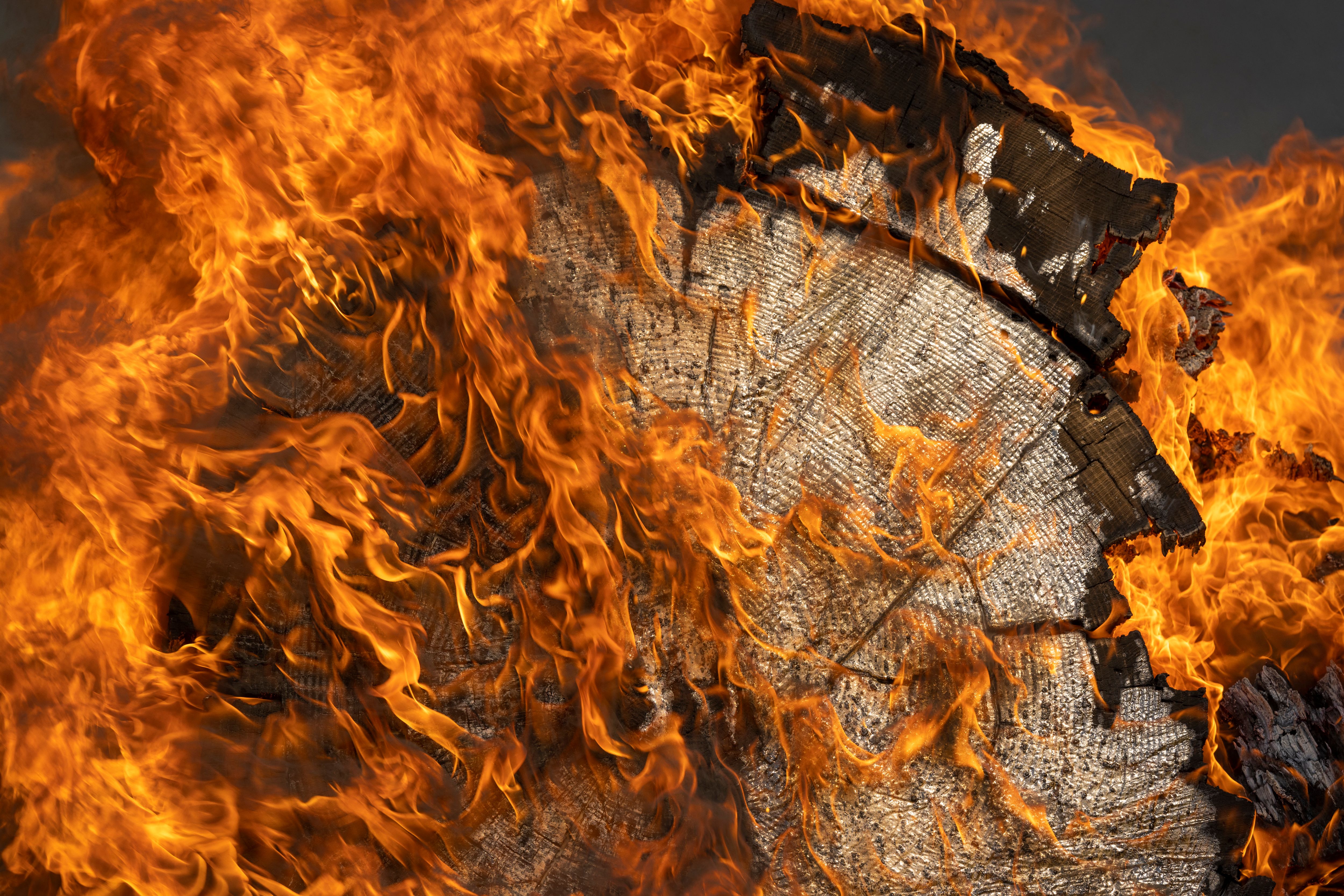 A log burns from the Oak Fire near Mariposa, Calif., on Sunday, July 24, 2022.