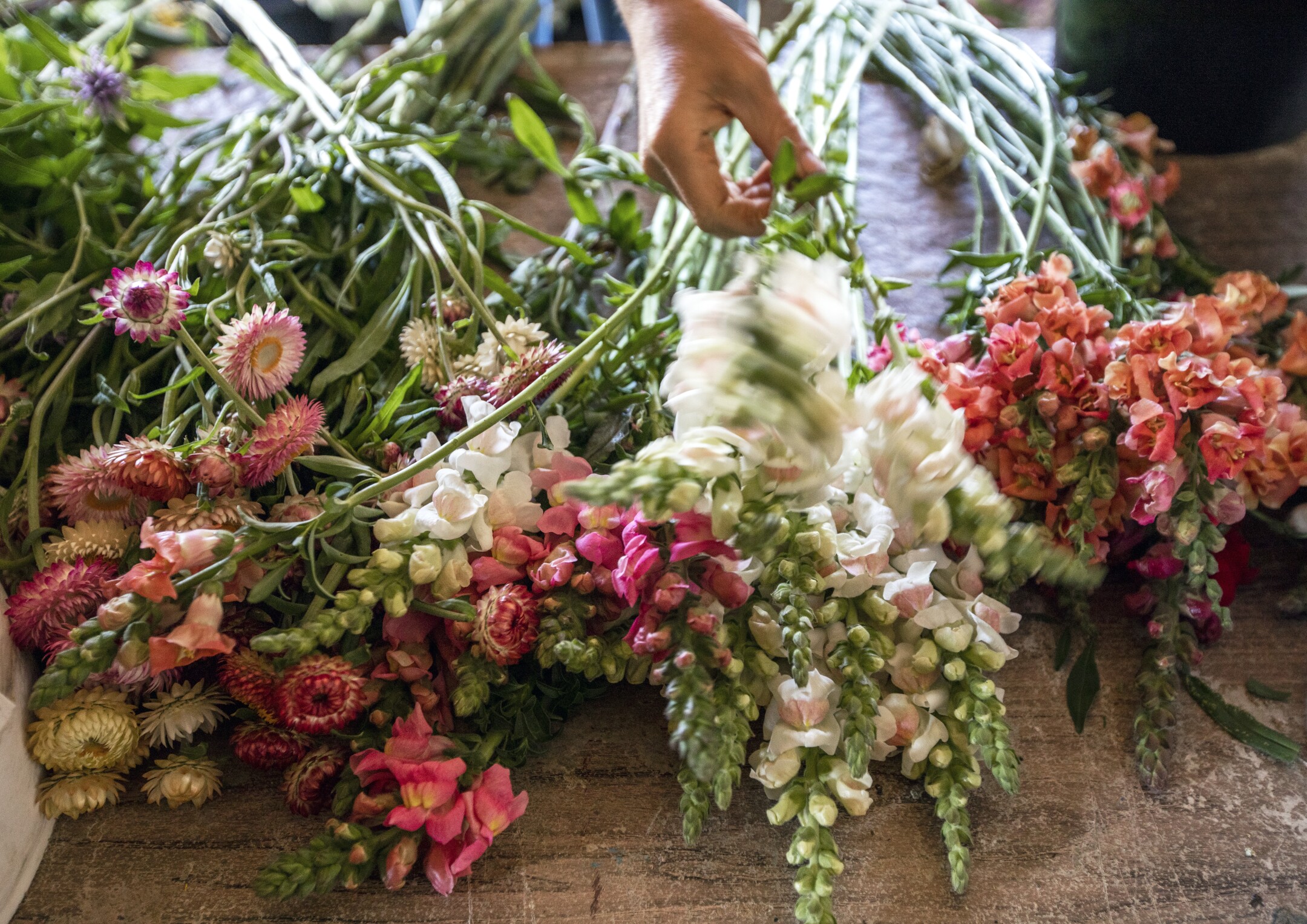 Early in the morning, Kjessie Essue is already hard at work preparing flowers for delivery in Taylorsville.