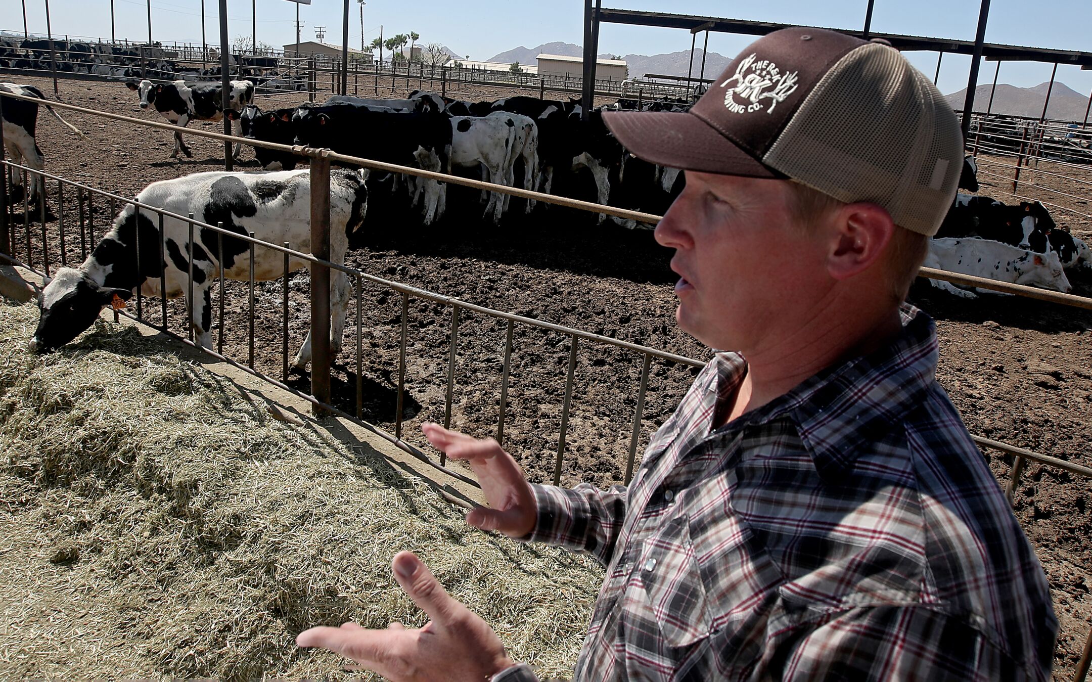 Michael Oosten at his family's dairy farm in Lakeview