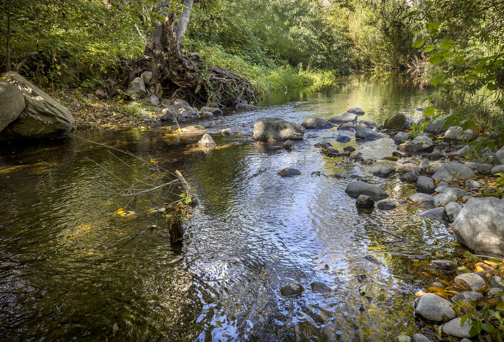 The water levels on Mark West Creek rose six inches after the earthquake last week behind the home of Larkfield-Wikiup resident John Macaulay.