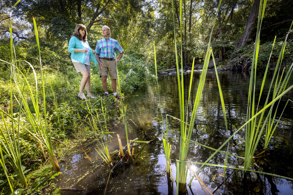 John Macaulay and his wife Suzie Dickinson noticed a dramatic increase in the water level in Mark West Creek behind their Larkfield-Wikiup house after the earthquake last week.