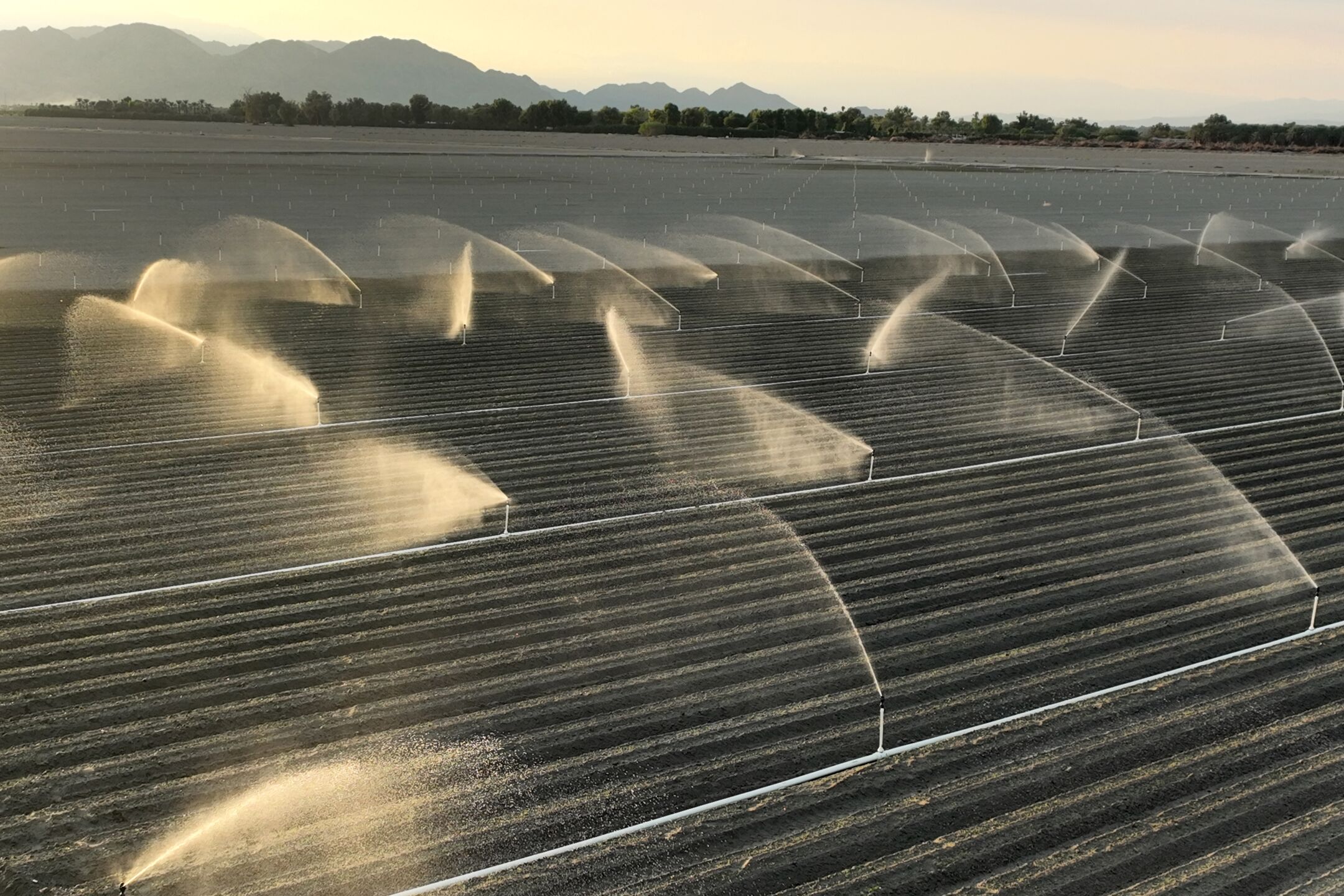Irrigation for farming uses large amounts of water in La Quinta.