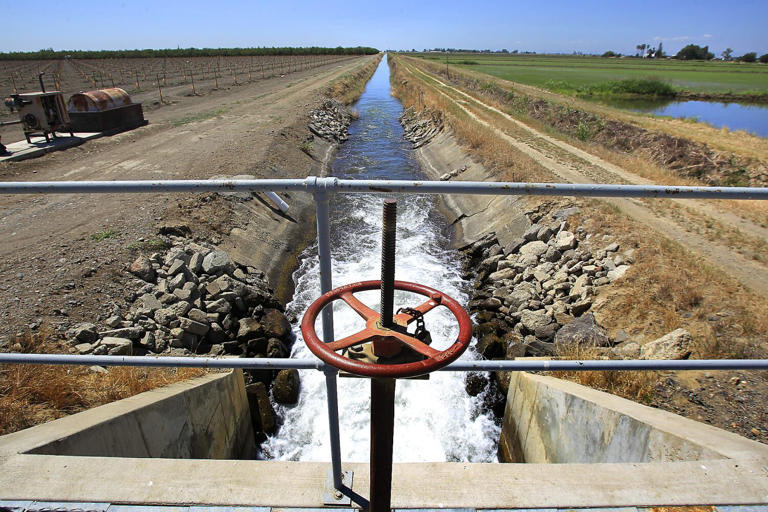 A lateral canal flows off the Glenn-Colusa Canal near the city of Williams in the Sacramento Valley, in this file photo.