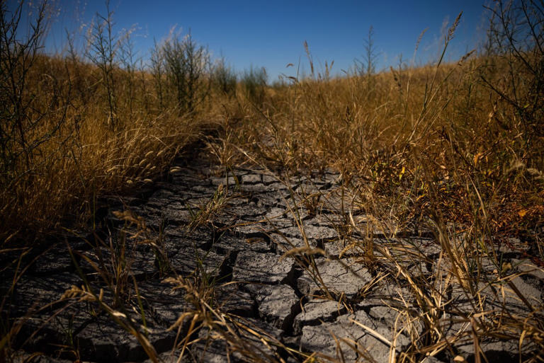 Dry cracked earth reveals an empty irrigation ditch in a fallowed rice field in this 2021 file photo.