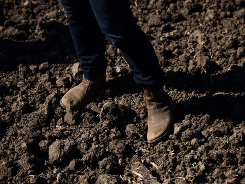 Rice grower Kim Gallagher stands in a fallowed rice field in Knights Landing in 2021.