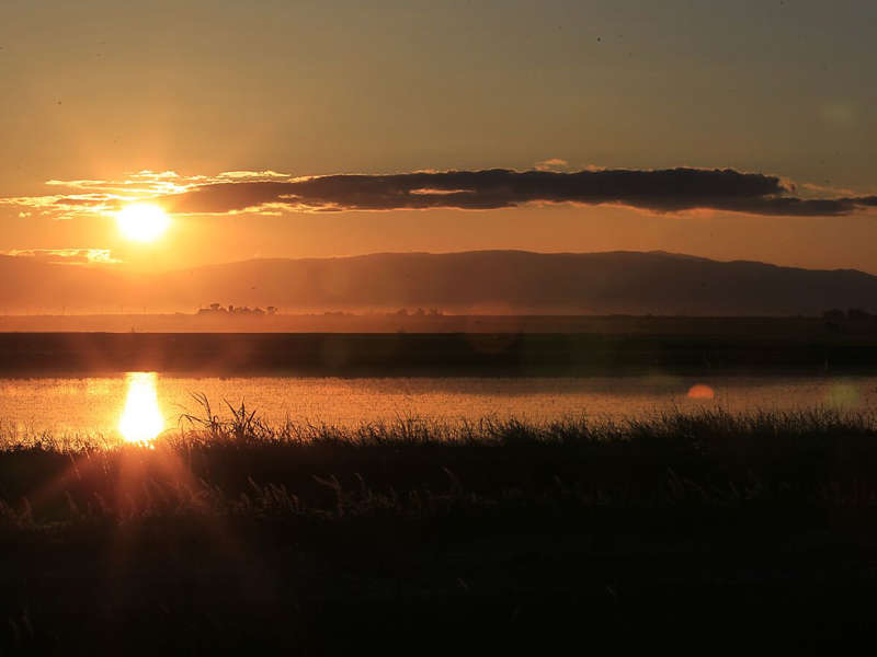 The sun sets over a flooded rice field in the Sacramento Valley.
