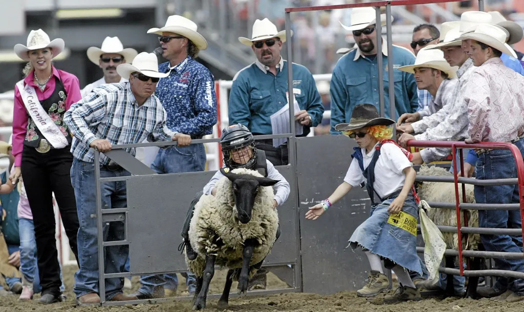Caden Romero of Salinas competes in mutton busting at the 2009 California Rodeo Salinas. 