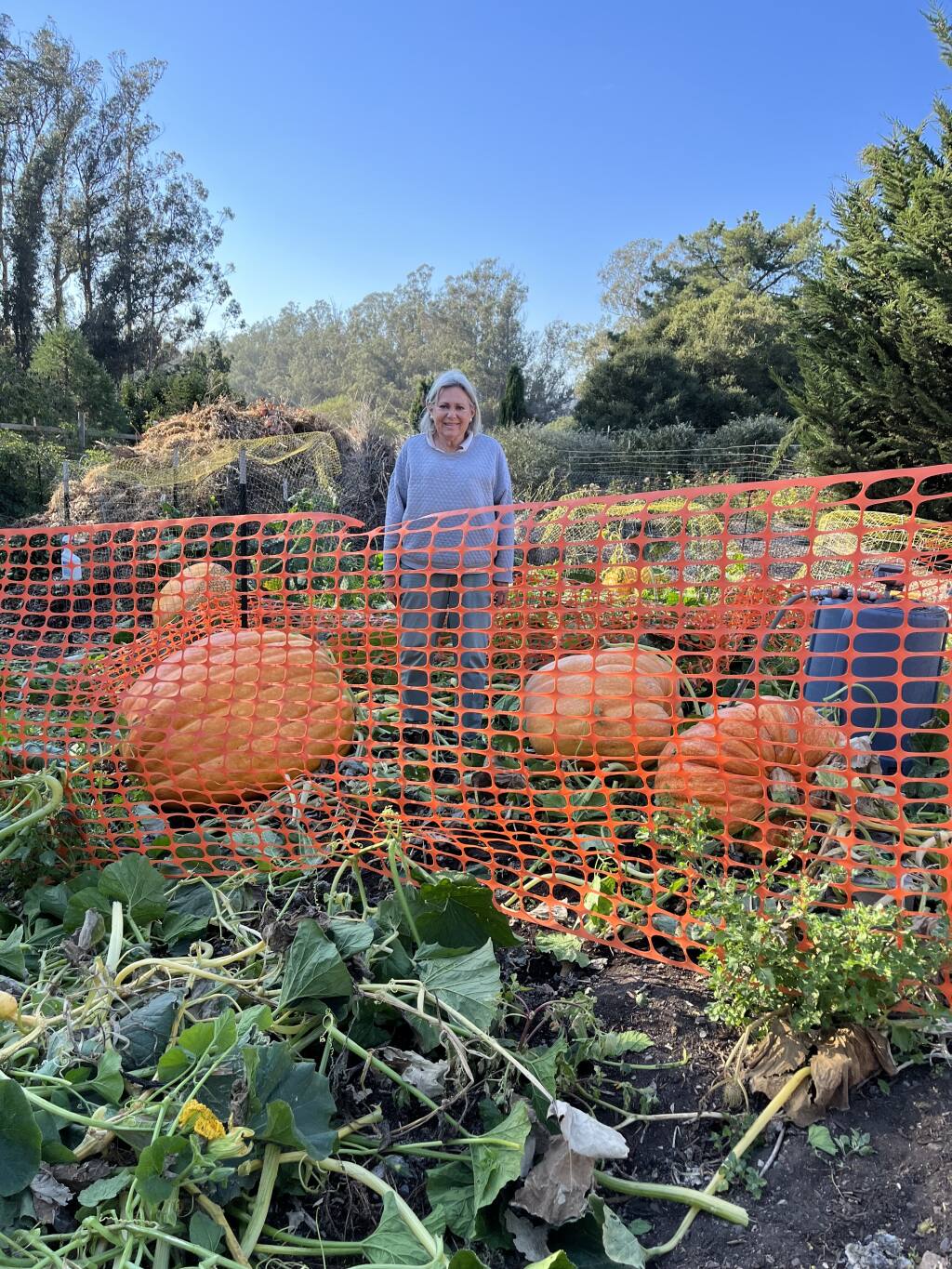 Cathy Henning grew a 411-pound prize-winning pumpkin at her Petaluma farm. 