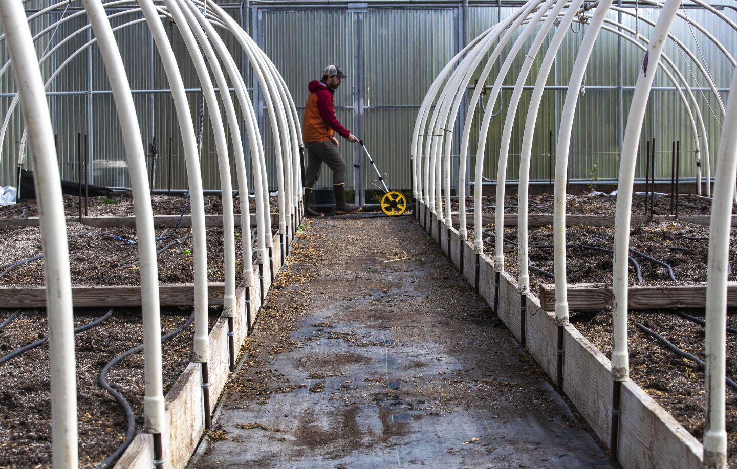 Eric LeBlanc, a state cannabis control inspector, rolls a surveyor's wheel to measure off the square footage of a greenhouse at Johnny Casali's Huckleberry Hill Farms.