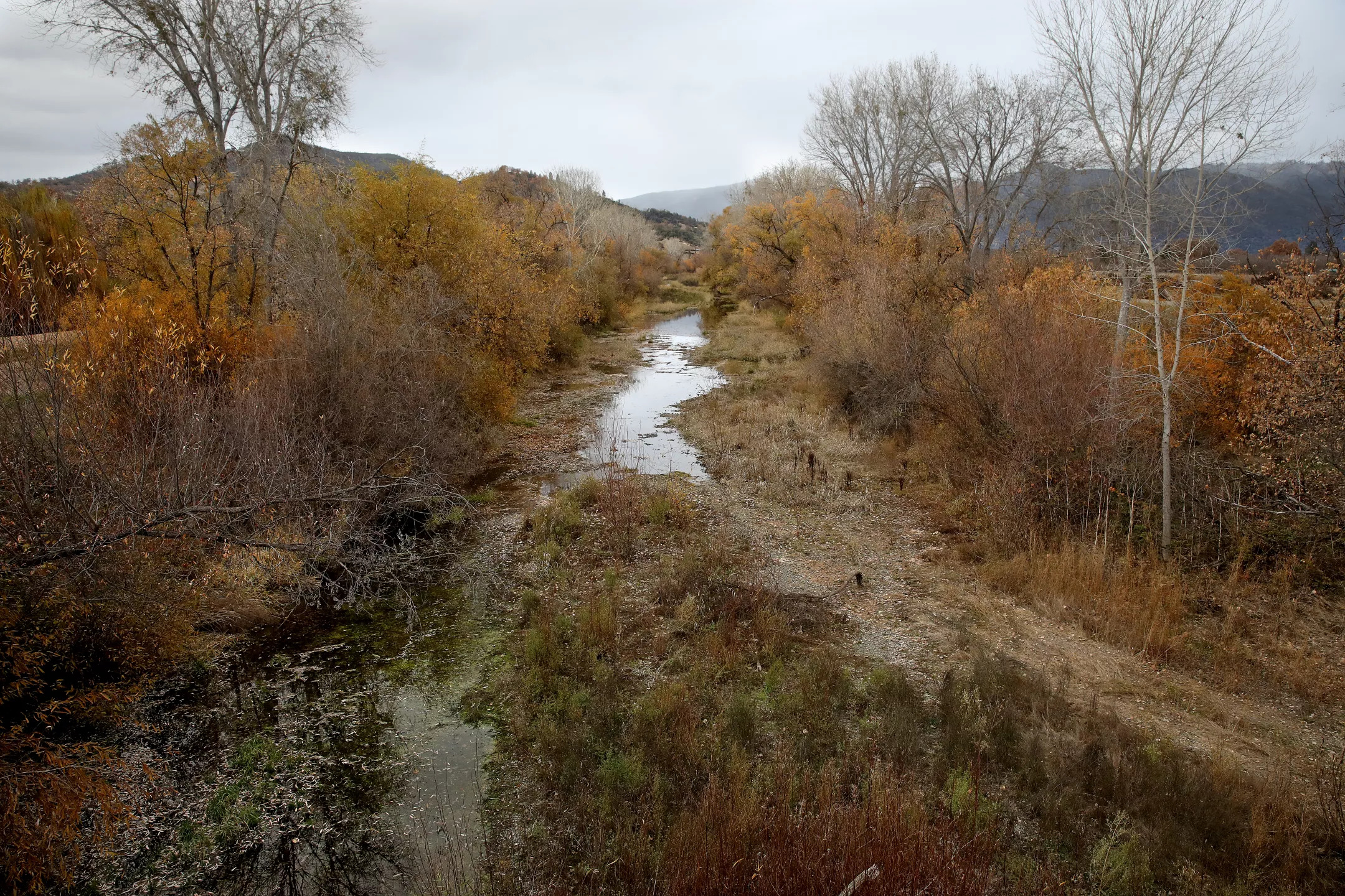 Low water levels along Middle Creek, the last creek where hitch can successfully spawn.