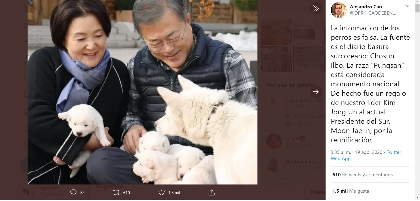 Coreanos con perros