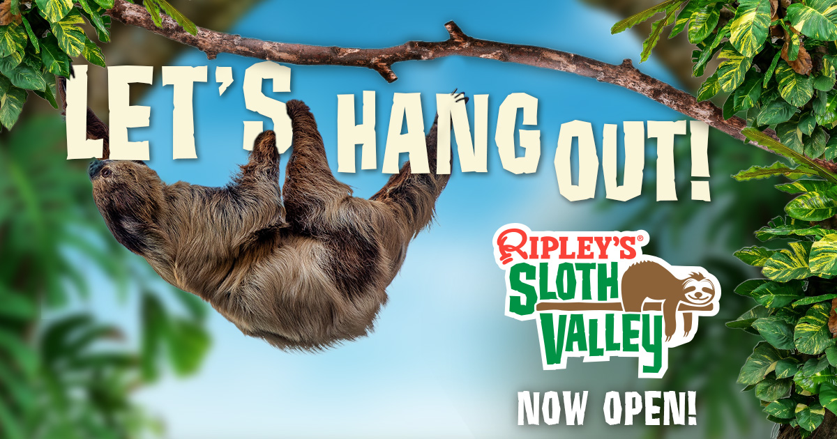 Ripley's Aquarium of Myrtle Beach Sloth Valley